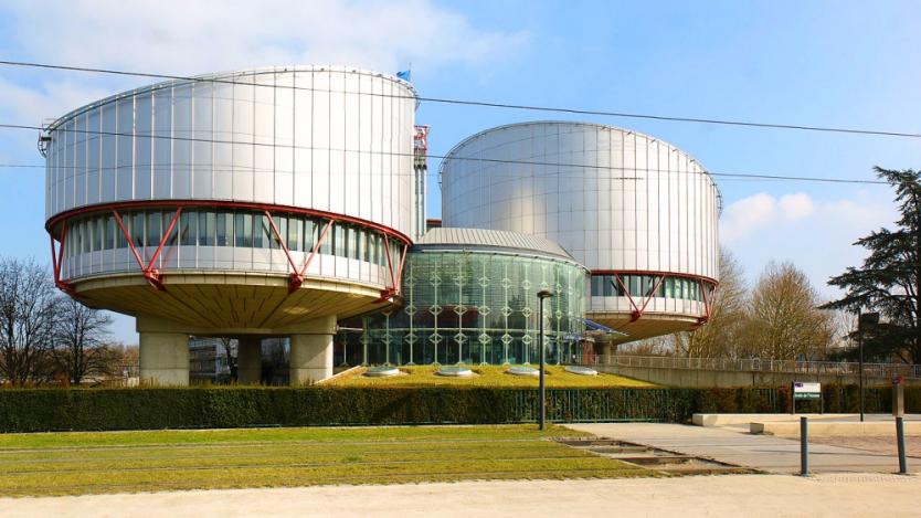 Съдът в Страсбург постанови Русия да плати 73 хил. евро на братя Навални