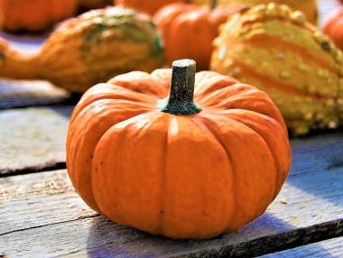 България е първа по производство на тикви в ЕС