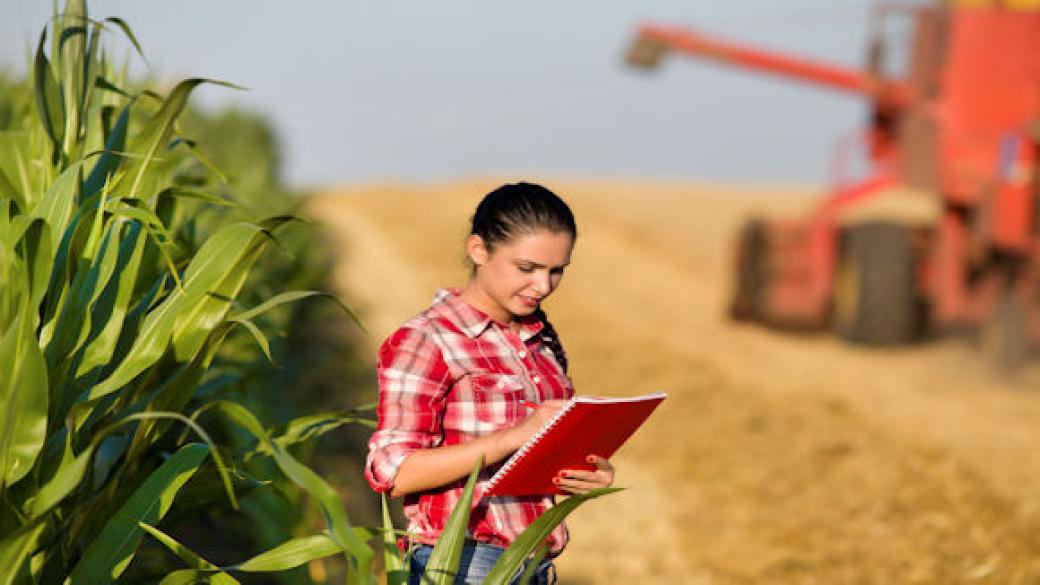 Най-честите грешки на младите земеделци при подаване на документи