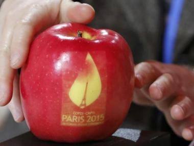 Сирия планира да се присъедини към парижкото споразумение за климата