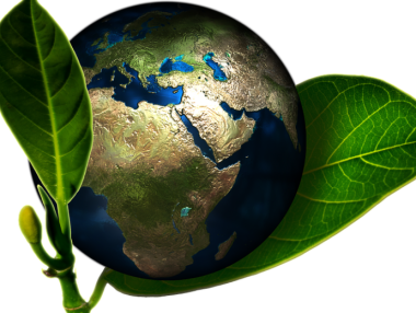 Малки и средни фирми получиха достъп до 72 млн. лв. за ефективност