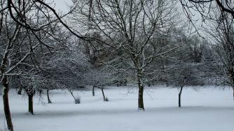 Оранжев код за сняг и поледици е обявен в 5 области