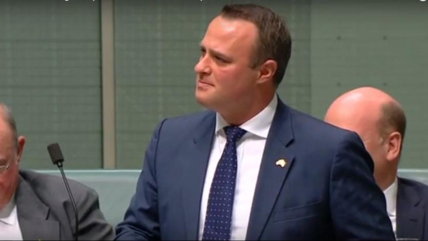 Австралийски депутати си предложиха брак в парламента