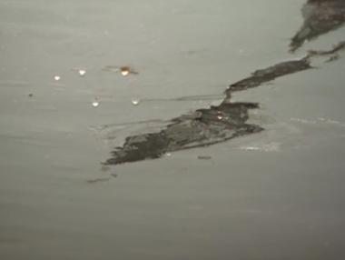 Подлезът на Окръжна болница в окаяно състояние три месеца след ремонта