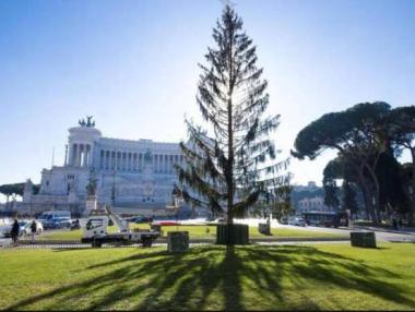 Жителите на Рим кръстиха градската елха „Плешивко“