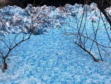 Син сняг покри Санкт Петербург