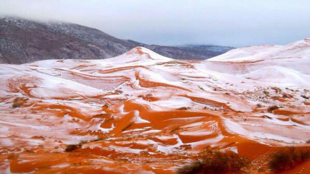 Отново падна сняг в пустинята Сахара