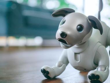 Новото кученце-робот на Sony вече танцува и разпознава хора