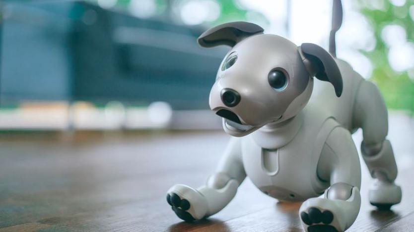 Новото кученце-робот на Sony вече танцува и разпознава хора