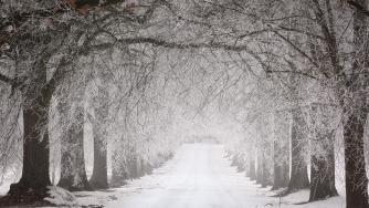 Температурите в Китай паднаха до -43° по Целзий