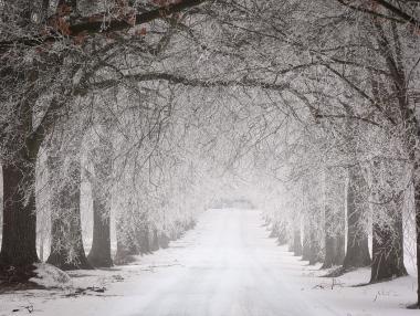 Температурите в Китай паднаха до -43° по Целзий
