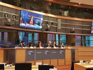 И в Брюксел са притеснени за бъдещето на парк „Пирин“