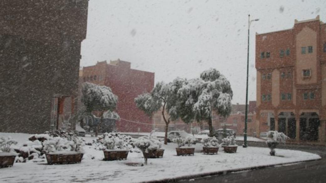 Сняг изненада южните части на Мароко