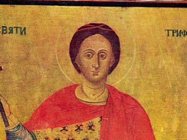 Днес отбелязваме Трифон Зарезан