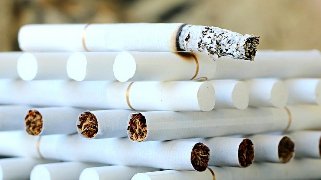 Инфографики: Незаконна търговия с тютюневи изделия в България