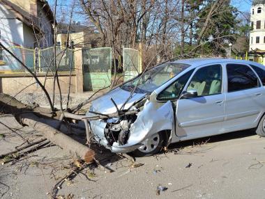 Силният вятър нанесе щети в различни части на страната