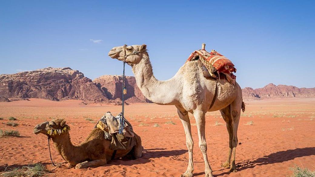 16-те най-красиви пустини в света