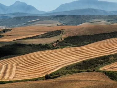 Земеделската земя привлича инвеститори с висока доходност и ниски рискове