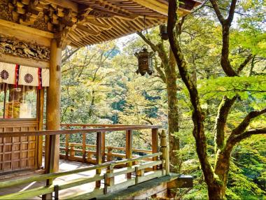 Нов хотел на Nissan сам се подрежда