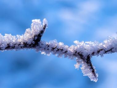 137 машини са почиствали столичните улици през нощта