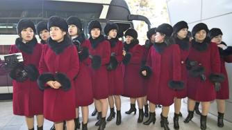 Фенките от Северна Корея започнаха да дразнят останалите