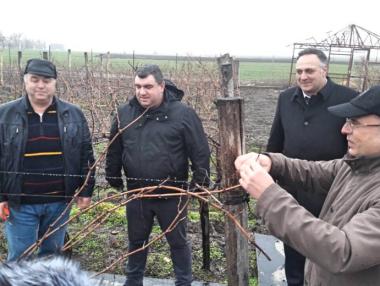 Лозарите получават 26 млн. евро субсидии годишно