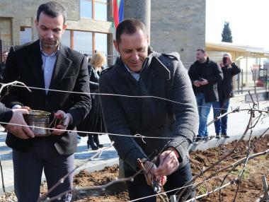 Двоен ръст на износа на български вина за Китай