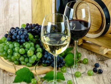 Над 300 вина и ракии се състезават на „Винария“ 2018