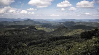 Вековните букови гори в „Централен Балкан“ стават част от обект на ЮНЕСКО