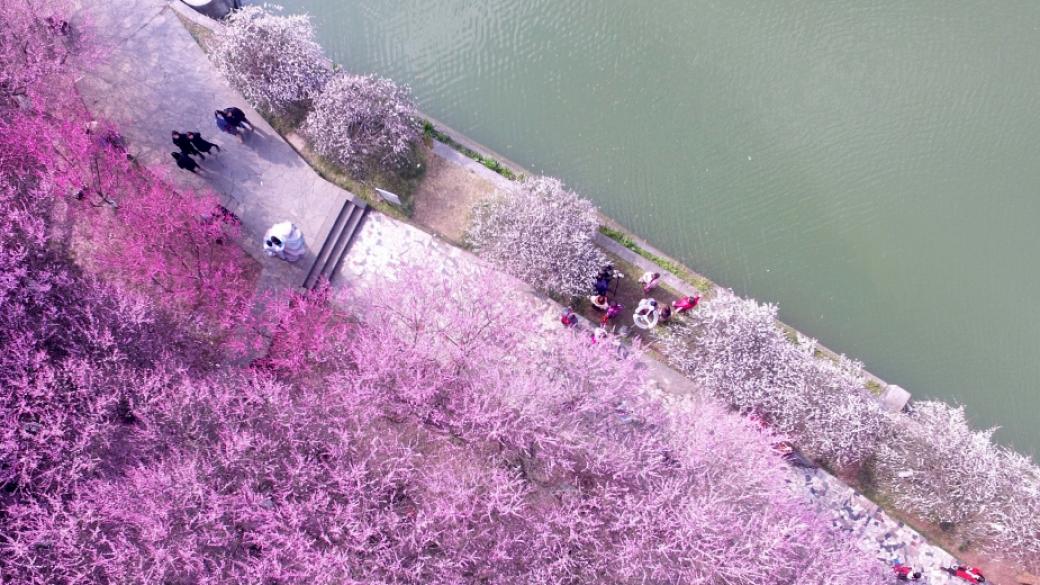 Цветен Китай в началото на пролетта