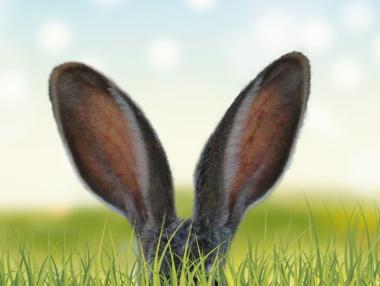 Идва ли пролетта