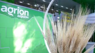 Инвеститори пренасочват парите си в земеделска земя