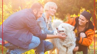 Purina дава €85 000 за проект, който сближава хората и домашните любимци