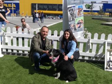 „Подари си приятел“ отново помогна на четириног любимец