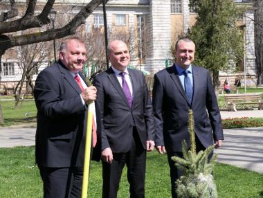 През 2018 г. ще бъдат залесени 15 000 дка гори