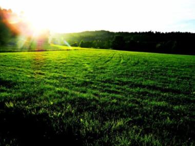 ДФ „Земеделие” преведе 105 млн. лв. по Схемата за преразпределително плащане