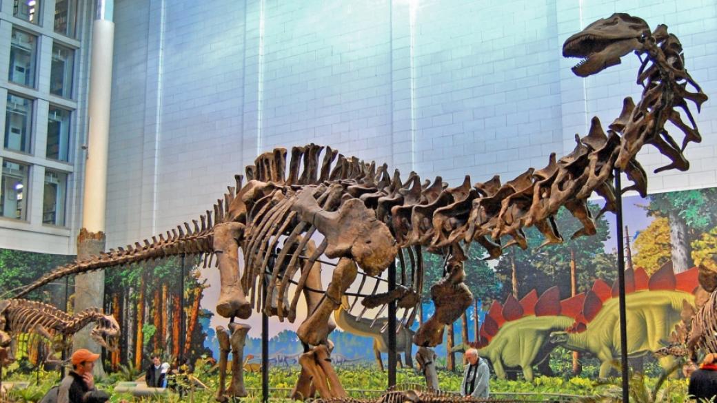 Учени откриха следи от най-големия динозавър