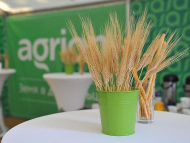 “Агрион“ предлага безплатни консултации и оценка на земеделски имоти