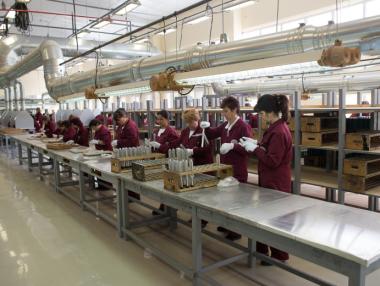 В кои сфери има най-много свободни работни места у нас