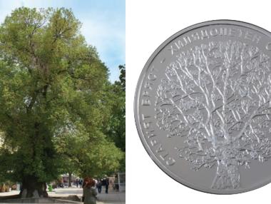 БНБ пуска сребърна десетолевка със стария бряст в Сливен