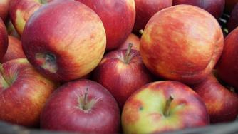 Защо да консумираме сезонни плодове