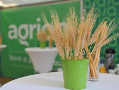 Търгове с тайно наддаване дават пазарната рента на земята