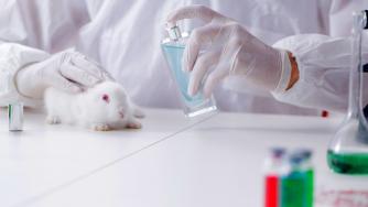 ЕС ще се бори светът да спре да тества козметика върху животни