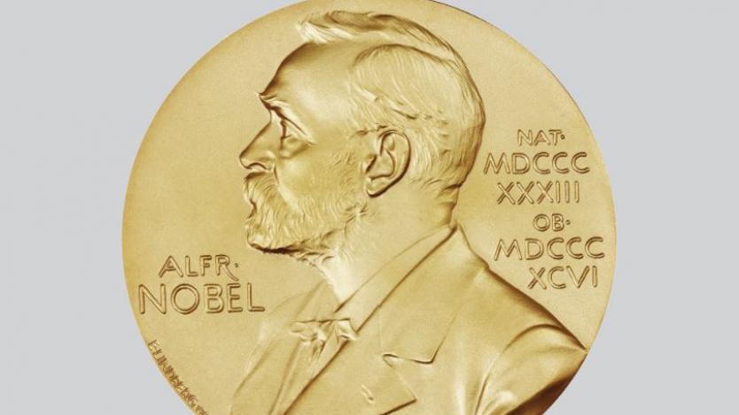 Нобелова награда за литература няма да бъде присъдена тази година