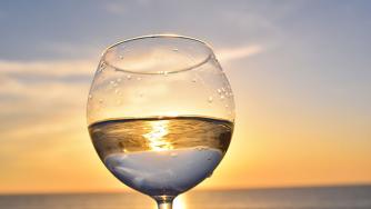 Светът празнува Международния ден на Совиньон Блан