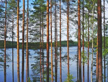В кои страни да отидем, за да подишаме чист въздух