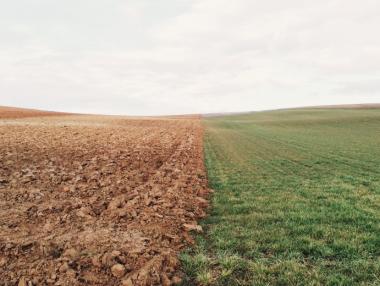 Бум в продажбите на земеделски земи