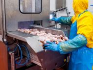 Минимум 90% от печалбата на „Градус” ще е за акционерите