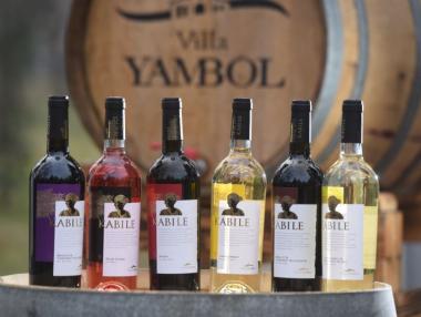 Раздадоха наградите за най-добри български вина в конкурса London experts in wine awards