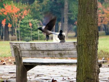 Софиянци не са доволни от обществените пространства в града